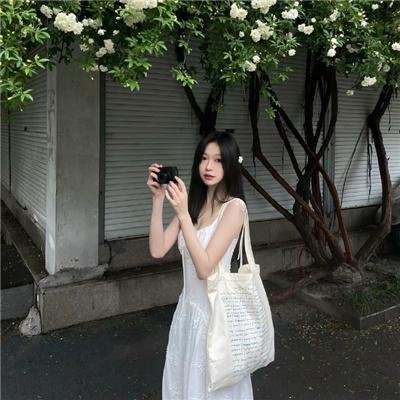 如翼之舟